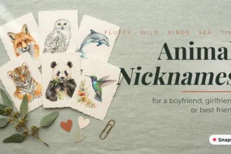 Animal Nicknames: Cute, Wild and Sweet Names to Call Someone